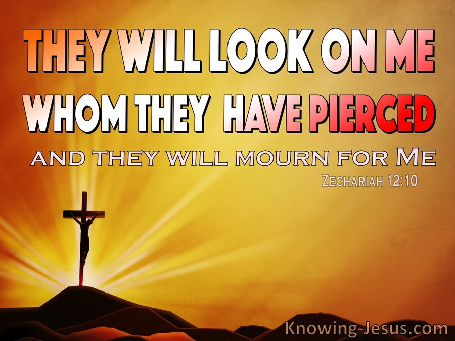 Zechariah  12-10 They Will Look On Me Whom They Pierced (orange)